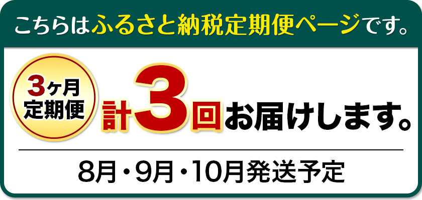 【先行予約】【3ヶ月定期便】 シャインマスカット晴王 2房入り 株式会社山博（中本青果）《8月下旬から10月下旬出荷》【配送不可地域あり】（北海道・沖縄・離島）---124_c1884_8c10c_25_67000_tei---