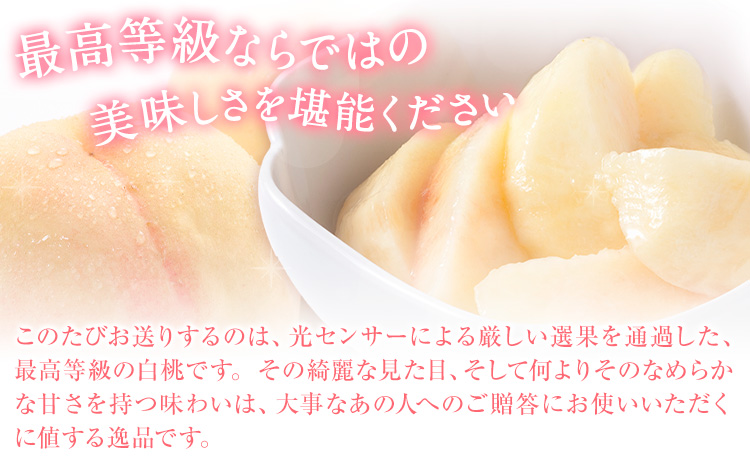 桃 もも 白桃【先行予約】岡山の白桃等級ロイヤル 約1.5kg 晴れの国岡山農業協同組合鴨方支店《7月上旬-7月末頃出荷》【配送不可地域あり】（北海道・沖縄・離島）桃 もも 桃 白桃 桃 岡山白桃 桃 |---124_c3401_7a7m_25_24500_1500r---