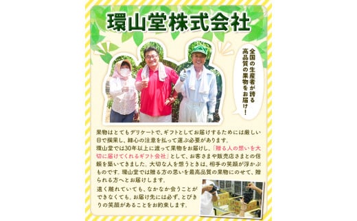 【2026年先行予約】桃 もも 岡山白桃 4玉 約1kg 岡山県産 環山堂株式会社《2026年7月上旬-8月上旬頃出荷》岡山県 浅口市 白桃 果物 フルーツ 送料無料---124_c2261_7a8a_25_15500_30---