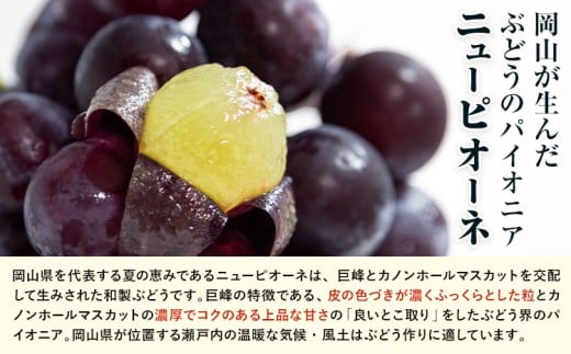 【先行予約】 岡山県産 シャインマスカット「晴王」とニューピオーネ 計 800g 株式会社はちや《6月下旬～7月下旬頃出荷》岡山県 浅口市 ぶどう 葡萄 フルーツ ギフト 果物 デザート 国産【配送不可地域あり】---124_c2056_6c7c_25_21500_800g---