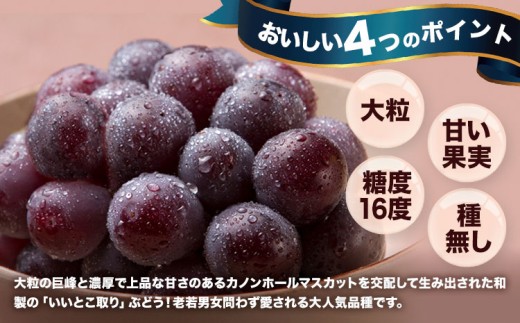 【先行予約】 岡山県産 ニューピオーネ詰合せ 選べる 計 2kg 株式会社はちや《8月下旬‐9月下旬頃出荷》岡山県 浅口市 ぶどう 葡萄 フルーツ ギフト 果物 デザート 国産 送料無料【配送不可地域あり】---124_c2095_8c9c_25_20000_2kg---