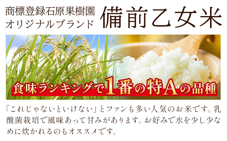 米 こめ コメ 備前乙女米 玄米 4kg 石原果樹園《30日以内に出荷予定（土日祝除く）》岡山県 浅口市 ご飯 お米 国産 岡山県産 送料無料---124_3211_30d_25_15500_2g---