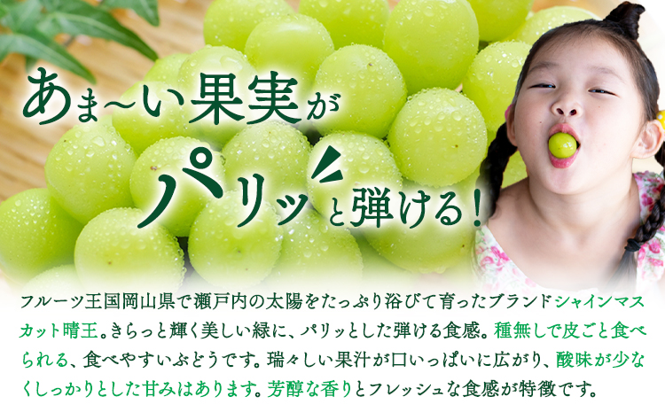 【先行予約】ぶどう シャインマスカット 晴王 1.2kg 2房 マスカット岡山《7月上旬-9月中旬頃出荷》岡山県 浅口市 送料無料 フルーツ 果物 マスカット お取り寄せフルーツ【配送不可地域あり】（北海道・沖縄・離島）---124_c1108_7j9c_24_40000_1200g---