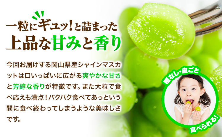 【2026年先行予約】シャインマスカット 岡山県産 2房 (1房 700g)《2026年9月上旬-9月中旬頃出荷》ひらた農園  岡山県 浅口市 ぶどう 果物 ギフト---124_2003_9a9b_25_20000_2p---st-p