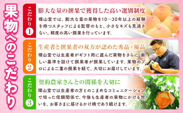 【2026年先行予約】桃 もも 岡山白桃 8～10玉 約2kg 岡山県産 環山堂株式会社《2026年7月上旬-8月上旬頃出荷》岡山県 浅口市 白桃 果物 【配送不可地域あり】（北海道・沖縄・離島）---124_c2265_7a8a_25_24000_30---