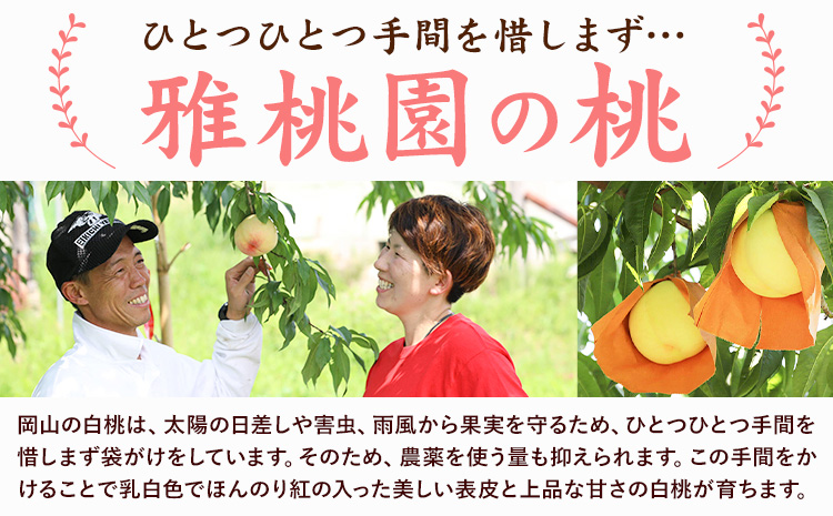 【2026年先行予約】ご家庭用 旬の桃 約1.2kg ( 4~6玉前後 ) 株式会社創・和(雅桃園) 《7月上旬-8月上旬頃出荷》岡山県 浅口市 桃 もも フルーツ 果物 青果 旬 白桃 わけあり 訳あり【配送不可地域あり】（北海道・沖縄・離島）---124_c2244_7a8a_25_12000_1200g---
