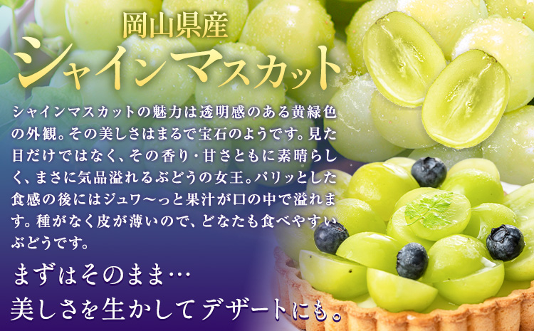ぶどうシャインマスカット 約 600g 1房 【配送不可地域あり】（北海道・沖縄・離島） 株式会社藍《9月上旬-10月下旬頃出荷》 岡山県 浅口市 岡山県産 ぶどう フルーツ 果物 くだもの マスカット 送料無料---124_c3248_9a10c_25_16500_600g---