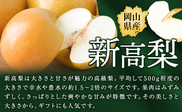 梨 岡山県産 新高梨 約3kg ( 4~6玉 ) 【配送不可地域あり】（北海道・沖縄・離島） 株式会社藍《9月下旬-10月下旬頃出荷》 岡山県 浅口市 岡山県産 なし フルーツ 果物 くだもの ナシ 大玉 新高 送料無料---124_3238_9c10c_25_15000_3000g---