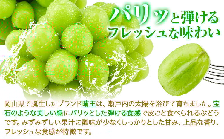 【2026年先行予約受付】シャインマスカット 岡山県産 シャインマスカット 晴王 1房 750g《2026年9月上旬-10月末頃出荷(土日祝除く)》 ハレノフルーツ マスカット 送料無料 岡山県 浅口市 フルーツ 果物 贈り物 ギフト 国産 岡山県産 くだもの 青果物【配送不可地域あり】---124_c1944_9a10m_25_21500_750g---