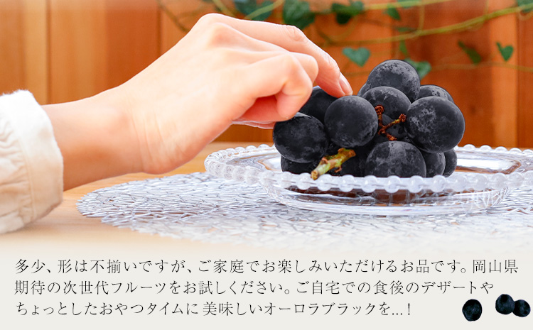 【先行予約】ご家庭用 岡山県産 オーロラブラック 約1.2kg 2-3房 晴れの国 おかやま館(つむぐ株式会社)《8月下旬-9月下旬頃出荷》岡山県 浅口市 マスカット ぶどう 葡萄 果物 フルーツ 送料無料【配送不可地域あり】（離島）---124_c2193_8c9c_25_16000_1200g---