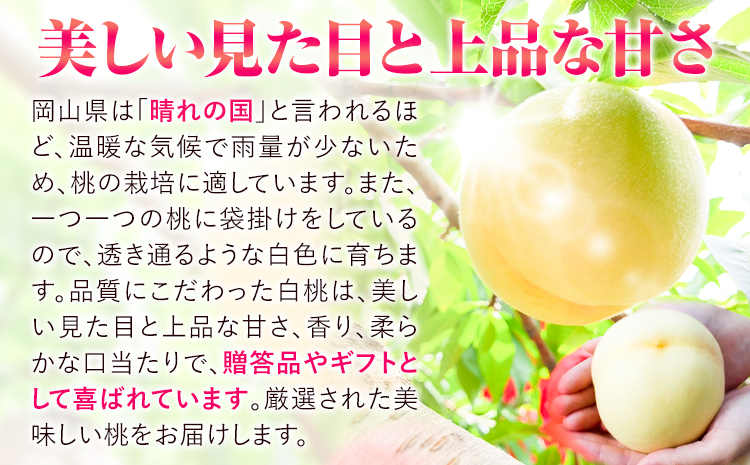 【令和8年度先行予約】贈答用 桃 内容量 2.4kg ハレノフルーツ （犬塚農園） 《2026年6月末-8月中旬頃出荷》岡山県 浅口市 フルーツ モモ 果物 青果 旬 おかやま夢白桃 白麗 白鳳 清水白桃 なつごころ 加納岩白桃【配送不可地域あり】（北海道・沖縄・離島）---124_c1796_6m8b_26_39000_2400g---