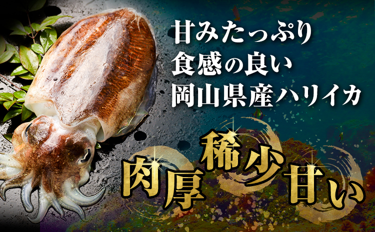 【6ヶ月定期便】炊き込みご飯 寄島 漁港の釜飯 いかめし 220g×2個 ×6回 (製造地：岡山県浅口市) ハレノヒ良品(まからずやストアー)《お申込み月の翌月から発送》岡山県 浅口市 イカ 釜めし セット【配送不可地域あり】（離島）冷凍 冷凍食品 惣菜 レトルト ひとり暮らし---124_f387tei_90d_23_67000_mo6num1---