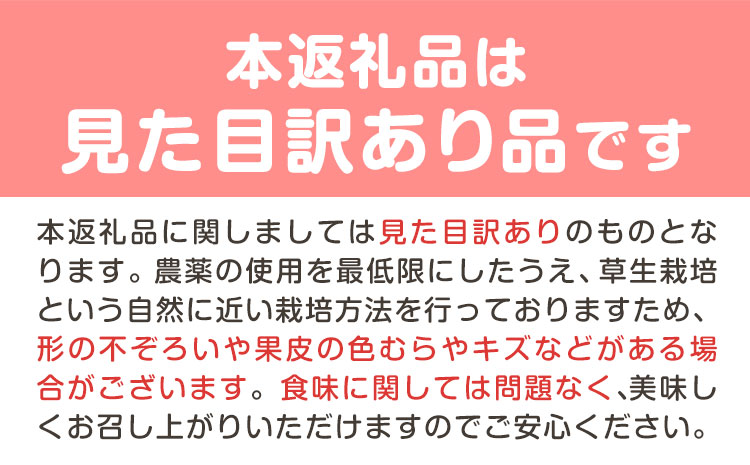 【2026年先行予約】ご家庭用 清水白桃 約1.5kg ( 6玉 前後 ) 《2026年7月上旬-7月下旬頃出荷》なんば農園 岡山県 浅口市 フルーツ モモ 果物 青果 旬 白桃 桃 訳アリ わけあり 訳あり【配送不可地域あり】（北海道・沖縄・離島）---124_1999_7a7c_25_18000_6---