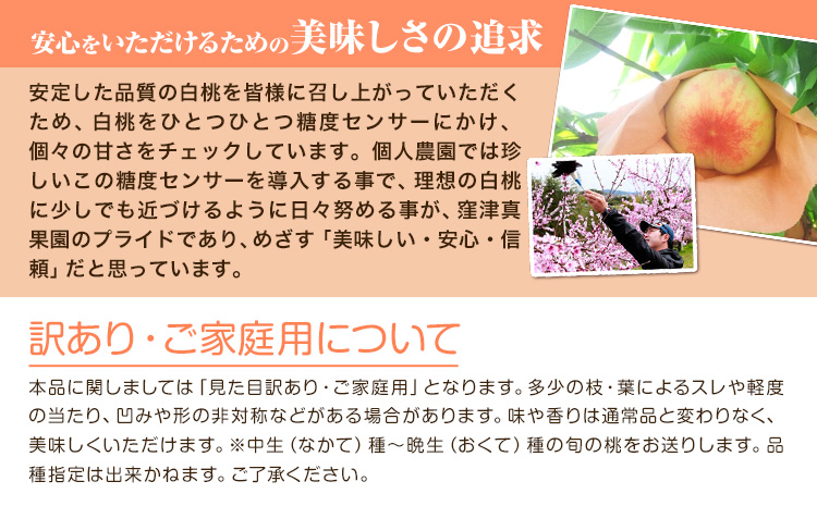 【2026年先行予約】ご家庭用 旬の桃 (なかて~おくての品種) 約1.5kg (4~6玉) 窪津真果園【配送不可地域あり】（北海道・沖縄・離島）《7月中旬-9月中旬頃出荷》岡山県 浅口市 フルーツ モモ 果物 青果 旬 白桃 国産 岡山県産---124_c757_7c9c_24_17000_1500g---