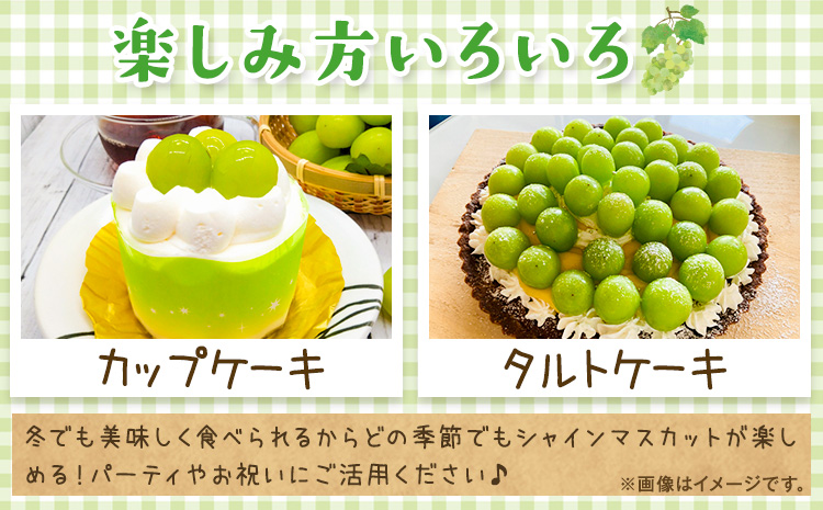 奇跡の越冬ぶどう シャインマスカット 1房 (600g以上) 五果苑《2025年11月上旬-2026年3月末頃出荷》越冬ぶどう フルーツ 果物 岡山県 浅口市 送料無料【配送不可地域あり】（北海道・沖縄・離島）---124_c2248_11a3m_25_16500_600g---