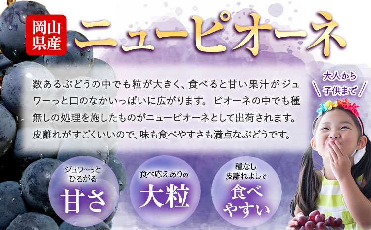 ぶどう ニューピオーネ 約 490g 1房  株式会社藍《9月中旬-10月下旬頃出荷》岡山県 浅口市 岡山県産 ぶどう フルーツ 果物 くだもの ピオーネ 送料無料 【配送不可地域あり】---124_c3252_9b10c_25_10000_1---st-p