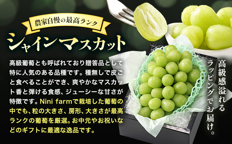 【2026年先行予約】ぶどう シャインマスカット 農家自慢の最高ランク シャインマスカット 1房 約750g 特秀クラス《9月中旬-10月下旬頃出荷(土日祝除く)》 Nini farm マスカット 送料無料 岡山県 浅口市 フルーツ 果物 贈り物 国産 岡山県産 くだもの 果物 青果物---124_c2254_9b10c_25_19000_750g---