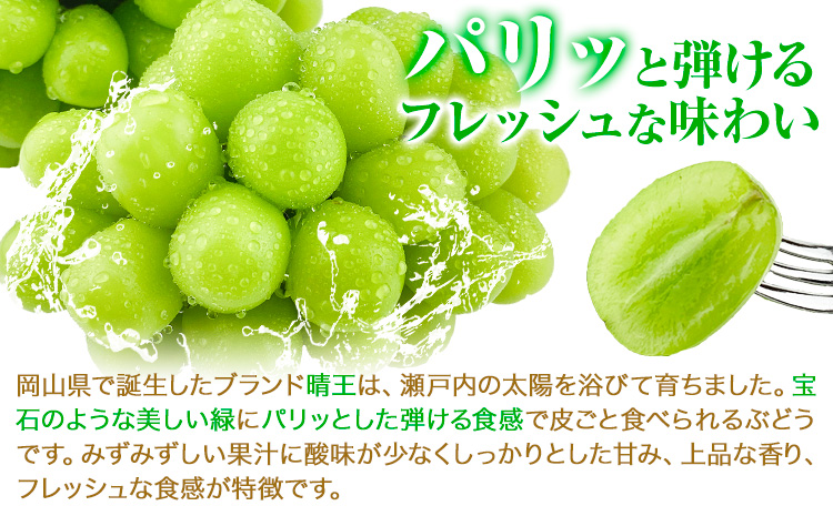 【2026年先行予約】ぶどう シャインマスカット 晴王 約600g (1房入り) 満天フルーツ《2026年9月上旬-10月末頃出荷》岡山県 浅口市 送料無料 マスカット フルーツ 果物 お取り寄せフルーツ 贈り物 ギフト 国産 岡山県産【配送不可地域あり】---124_c1975_9a10m_25_18000_600g---