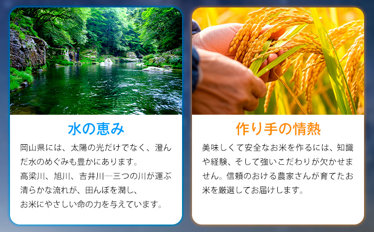 【隔月定期便 計6回】応援米 星ふる米 白米 10kg 岡山県産《申し込み翌月から発送》ふるさと 岡山 岡山県 浅口市 米 送料無料 ブレンド米 おにぎり米 コメ お米---124_3015tei_ev2mo6_123000_10kg_h---