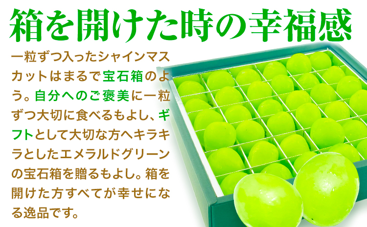 【2026年先行予約受付】シャインマスカット ジュエルセレクション 20粒 ぶどう《2026年9月上旬-10月末頃出荷(土日祝除く)》【配送不可地域あり】（北海道・沖縄・離島）---124_c1939_9a10m_25_18000_20i---マスカットマスカットマスカットマスカットマスカット