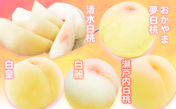 【2026年先行予約】 定期便6回コース  清水白桃 ニューピオーネ 瀬戸ジャイアンツ シャインマスカット 晴王 紫苑 梨 《2026年7月上旬から12月下旬出荷》【配送不可地域あり】（北海道・沖縄・離島）---124_c1860_7a12c_25_183000_tei---