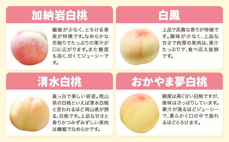 【2026年先行予約】岡山の桃食べ比べ定期便3回コース 株式会社山博 (中本青果)《2026年7月上旬-9月下旬頃出荷》岡山県 浅口市 桃 もも フルーツ 旬 果物 国産 岡山県産 送料無料 冷蔵 食べ比べ 定期便 定期【配送不可地域あり】（北海道・沖縄・離島）---124_c1838_7a9c_26_90000_tei---