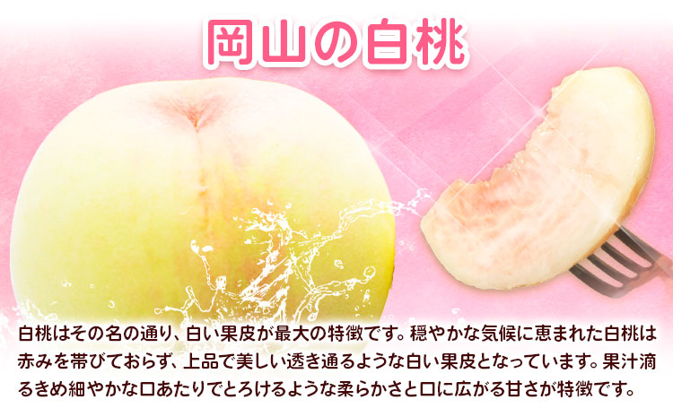 【先行予約】岡山の厳選フルーツ 定期便2回コース 岡山 白桃 シャインマスカット 晴王  フルーツ 株式会社山博 《7月上旬から8月下旬出荷》【配送不可地域あり】（北海道・沖縄・離島）---124_c1881tei_7a8c_25_54000_tei---