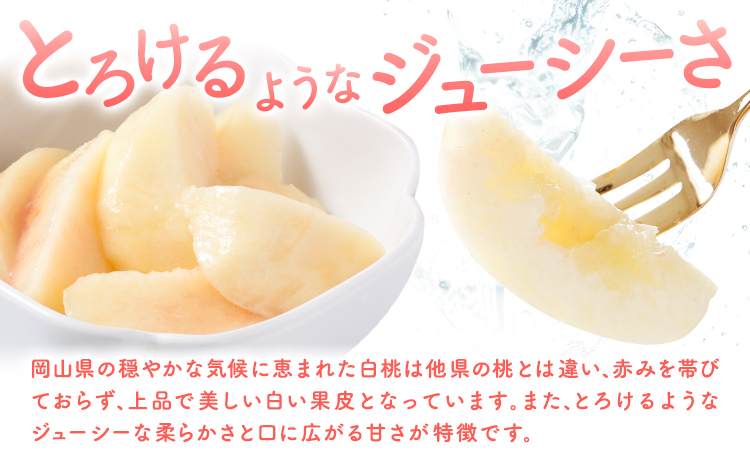 【2026年先行予約】岡山の白桃2回コース 8玉 (1.7kg以上) 株式会社山博 (中本青果)《2026年7月上旬から8月上旬出荷》岡山県 浅口市 桃 もも フルーツ 送料無料 冷蔵 定期便【配送不可地域あり】（北海道・沖縄・離島）---124_c1845_7a8a_25_54500_tei---