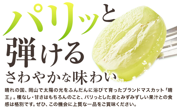 【2026年先行予約】シャインマスカット 晴王 岡山県産 定期便 2ヶ月 9月・10月発送《2026年9月中旬-10月中旬頃出荷(土日祝除く)》1房 650g 晴レ乃青果　(岡山中央卸売市場店(富士紙工 有限会社)) 岡山県 浅口市 【配送不可地域あり】---124_c2203_9b10b_39000_sep2_tei---