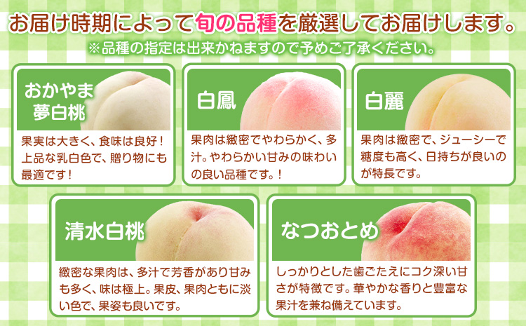 桃 もも 白桃【先行予約】岡山の白桃等級エース 約1.5kg 晴れの国岡山農業協同組合鴨方支店 桃 もも 桃 白桃 桃 岡山白桃 桃《7月上旬-7月末頃出荷》【配送不可地域あり】（北海道・沖縄・離島）|桃 桃---124_c3400_7a7m_25_18500_1500e---