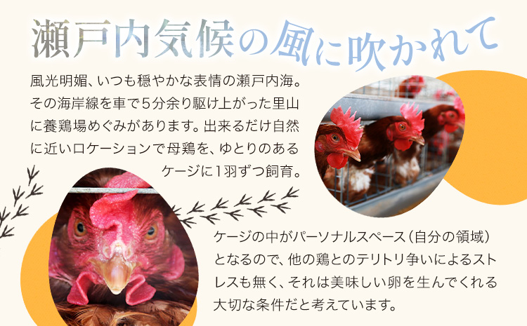 卵 たまご 6ヶ月 定期便 赤玉 ファーストエッグ 60個《お申込み月翌月から出荷予定(土日祝除く)》30個×2セット---124_83tei_23_93000_mo6num1_s---