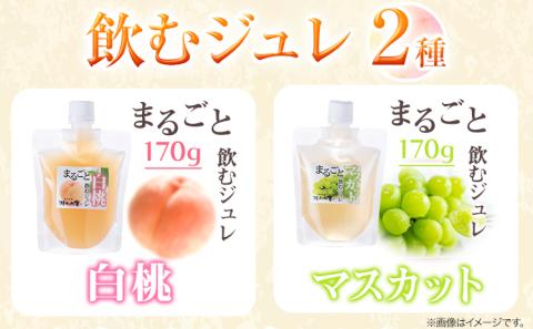 瀬戸内の味わいバラエティセット 6種 《30日以内に出荷予定(土日祝除く)》ケイコーポレーション だし いりこだし とうがらし醤油 醤油 ---124_1543_30d_23_14500_s---
