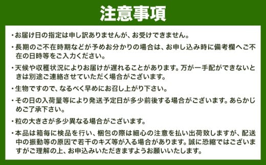 【先行予約】 岡山県産 シャインマスカット「晴王」とニューピオーネ 計 1kg 株式会社はちや《8月下旬‐9月下旬頃頃出荷》岡山県 浅口市 ぶどう 葡萄 フルーツ ギフト 果物 デザート 国産【配送不可地域あり】---124_c2087_8c9c_25_20000_1kg---