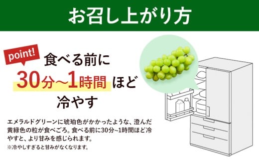 【先行予約】岡山県産 ぶどう マスカット・オブ・アレキサンドリア 600g 株式会社 はちや《8月下旬-9月下旬頃出荷》岡山 国産 葡萄 フルーツ 果物 岡山県 浅口市 フルーツ 果物 マスカット オブ アレキサンドリア【配送不可地域あり】---124_c2101_8c9c_25_13000_600g---