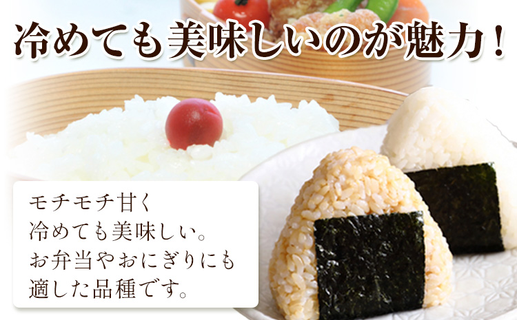 米 こめ コメ 備前乙女米 白米 玄米 計4kg 石原果樹園《30日以内に出荷予定（土日祝除く）》岡山県 浅口市 ご飯 お米 国産 岡山県産 送料無料---124_3732_30d_25_13500_2hg---