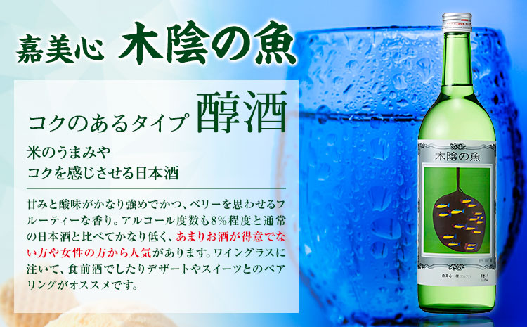 日本酒 純米酒 酒 飲んでビックリ！新感覚のワインテイストな日本酒 木陰の魚 木陰の魚 720ml×2本《30日以内に出荷予定(土日祝除く)》 ---124_160_30d_23_12000_s---
