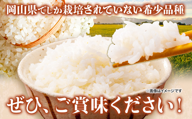 【令和7年産】岡山県産 あさひ 10kg (5kg×2袋)  全農パールライス株式会社 《30日以内に出荷予定(土日祝除く)》精米 米 送料無料---124_2245_11b12m_25_27000_10kg---