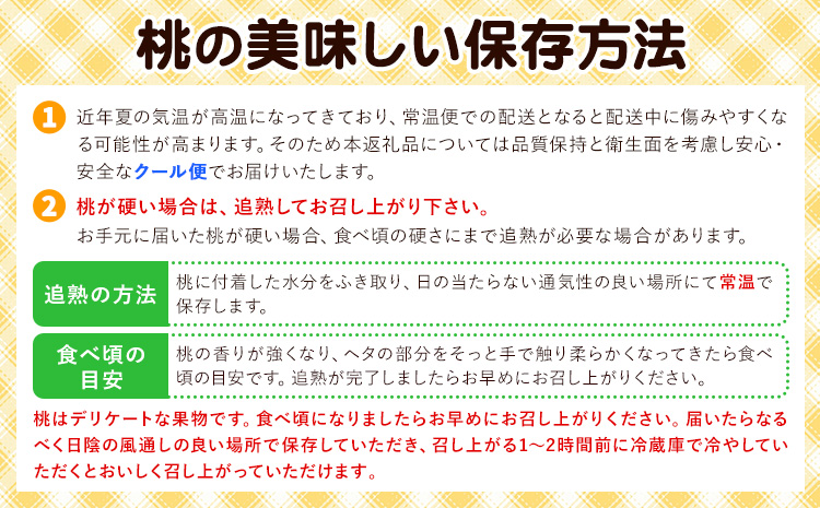 【2026年先行予約】白桃 6玉(1.6kg以上) 株式会社山博 (中本青果)《2026年7月上旬-8月上旬頃出荷》 桃 もも 【配送不可地域あり】（北海道・沖縄・離島）---124_c1848_7a8a_25_32000_6p---