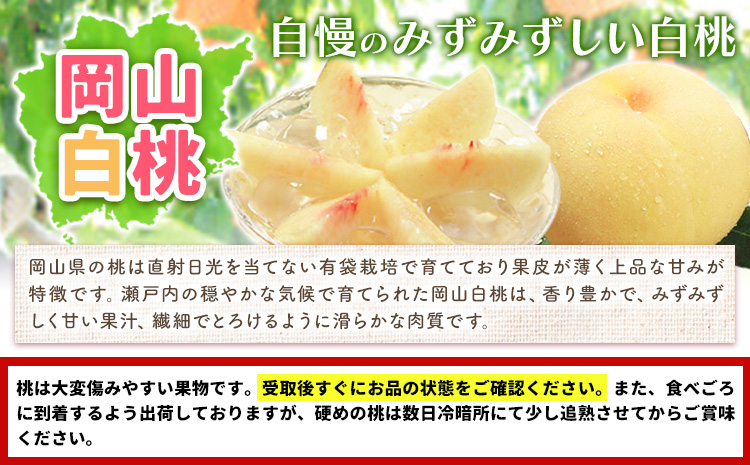 【2026年先行予約】岡山白桃 と シャインマスカット 詰合せ  環山堂株式会社《2026年7月中旬-8月上旬頃出荷》【配送不可地域あり】（北海道・沖縄・離島）---124_c2266_7b8a_25_50000_30---