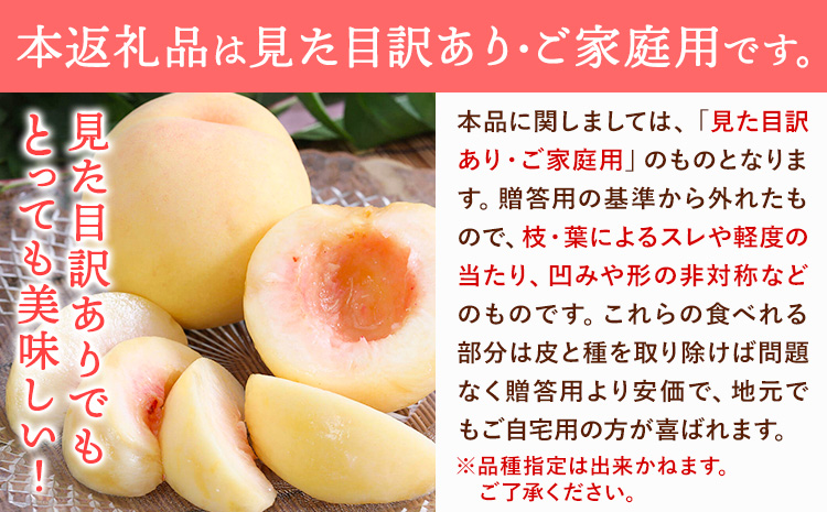 【2026年先行予約】ご家庭用 旬の桃 約1.2kg ( 4~6玉前後 ) 株式会社創・和(雅桃園) 《7月上旬-8月上旬頃出荷》岡山県 浅口市 桃 もも フルーツ 果物 青果 旬 白桃 わけあり 訳あり【配送不可地域あり】（北海道・沖縄・離島）---124_c2244_7a8a_25_12000_1200g---