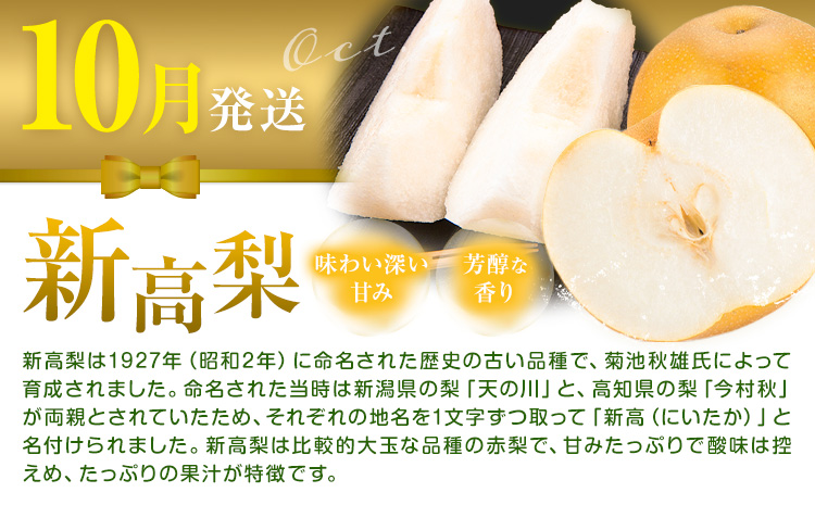 岡山県産 厳選 フルーツ 定期便 2回 シャインマスカット 新高梨 計4.2kg前後 株式会社藍《9月上旬-10月下旬頃出荷》 岡山県 浅口市 岡山県産 シャインマスカット 新高梨 梨 旬 フルーツ 果物 くだもの 送料無料 【配送不可地域あり】（北海道・沖縄・離島）---124_c3395_9a10c_25_34000_sep2---
