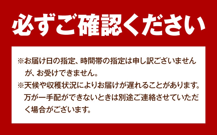 【先行予約】ご家庭用 岡山県産 シャインマスカット 約1.2kg ( 2-3房 ) クール便 晴れの国 おかやま館 (つむぐ株式会社) 《9月上旬-10月下旬頃出荷》岡山県 浅口市 マスカット ぶどう 葡萄 果物 フルーツ 送料無料【配送不可地域あり】（離島）---124_c2194_9a10c_25_16500_1200g---