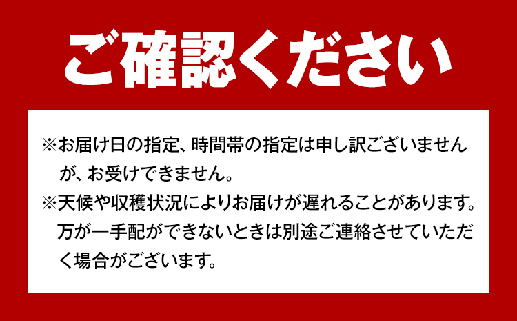 【先行予約】岡山県産 ピオーネ 2房 約500ｇ×2 晴れの国 おかやま館(フルーツランド岡山)《7月中旬-8月下旬頃出荷》岡山県 浅口市 マスカット ぶどう 葡萄 果物 フルーツ 送料無料【配送不可地域あり】---124_c2183_7b8c_25_21000_2p---