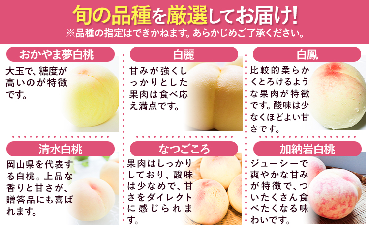 【令和8年度先行予約】贈答用 桃 内容量 2.4kg ハレノフルーツ （犬塚農園） 《2026年6月末-8月中旬頃出荷》岡山県 浅口市 フルーツ モモ 果物 青果 旬 おかやま夢白桃 白麗 白鳳 清水白桃 なつごころ 加納岩白桃【配送不可地域あり】（北海道・沖縄・離島）---124_c1796_6m8b_26_39000_2400g---