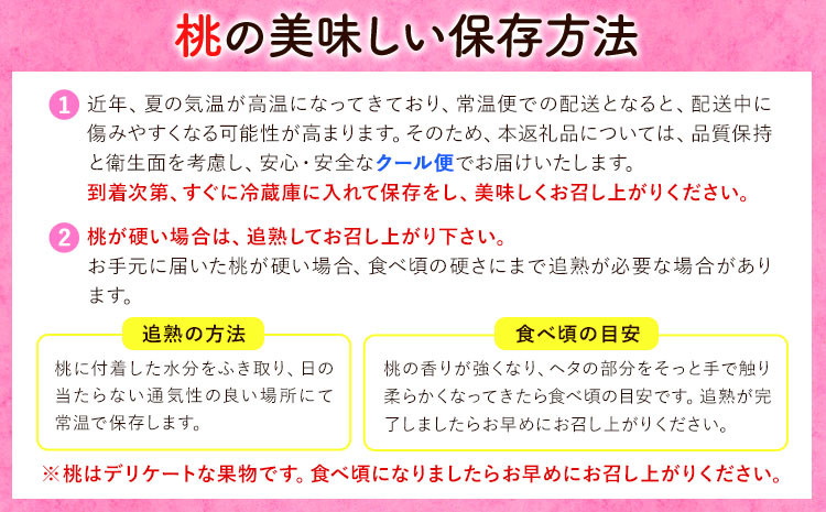 【2026年先行予約】ご家庭用 清水白桃 約1.5kg ( 6玉 前後 ) 《2026年7月上旬-7月下旬頃出荷》なんば農園 岡山県 浅口市 フルーツ モモ 果物 青果 旬 白桃 桃 訳アリ わけあり 訳あり【配送不可地域あり】（北海道・沖縄・離島）---124_1999_7a7c_25_18000_6---