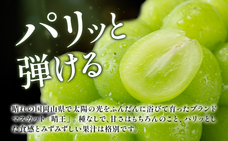 【2026年先行予約】ぶどう プレミアム シャインマスカット 船穂 赤秀品 晴王 約600g《2026年9月中旬-10月中旬頃出荷》晴レ乃青果　(岡山中央卸売市場店(富士紙工 有限会社)) マスカット 送料無料 岡山県 浅口市 フルーツ 果物 贈り物 ギフト 国産 【配送不可地域あり】（北海道・沖縄・離島）---124_c2208_9b10b_25_24500_600---