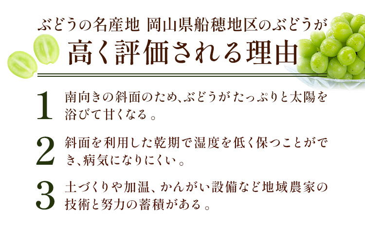 【2026年先行予約】ぶどう プレミアム シャインマスカット定期便 9月 10月発送 船穂 赤秀品 晴王 計2.4kg(約1.2kg×2回お届け)《2026年9月中旬-10月中旬頃出荷(土日祝除く)》晴レ乃青果　(岡山中央卸売市場店(富士紙工 有限会社))マスカット 岡山県 浅口市 フルーツ 果物 【配送不可地域あり】（北海道・沖縄・離島）---124_c2217_9b10b_83000_sep2_tei---st-p