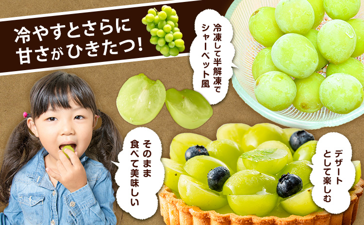 【2026年先行予約】シャインマスカット【晴王】 岡山県産 4-9房(計4kg以上) 株式会社Myself《2026年9月上旬-10月下旬頃出荷》マスカット 送料無料 岡山県 浅口市 ぶどう フルーツ 果物 贈り物 ギフト---124_c2432_9a10c_52000_9p---