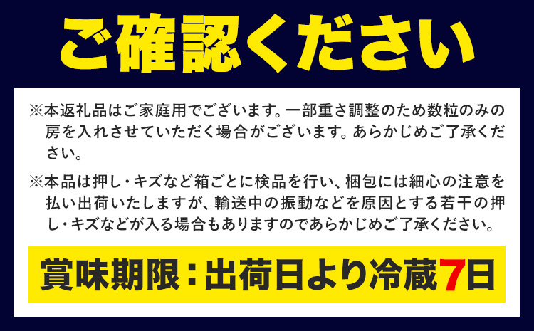 【先行予約】ぶどう ご家庭用 旬 の ぶどう 2種セット おまかせ2種 合計約2kg たけまさぶどう園 《8月中旬-10月中旬頃出荷》岡山県 浅口市 フルーツ デザート おやつ マスカット ぶどう 果物 国産 【配送不可地域あり】（離島）---124_c2013_8b10b_25_27000_2---