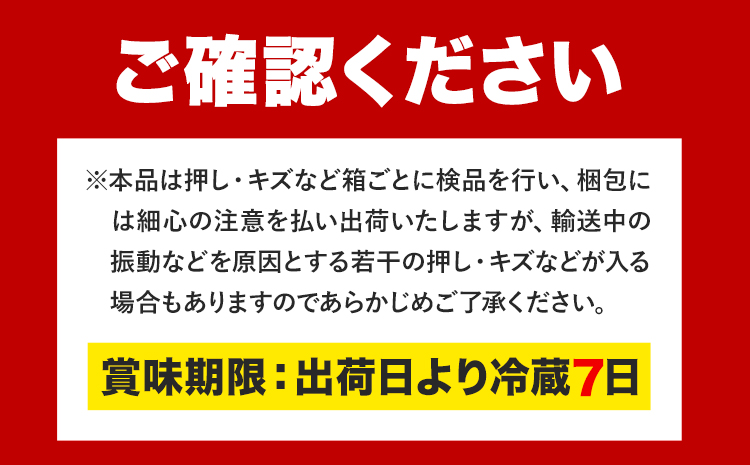 【先行予約】ニューピオーネ 1房 オーロラブラック 1房 500g 前後 たけまさぶどう園 《8月中旬-9月中旬頃出荷》岡山県 浅口市 フルーツ デザート おやつ ぶどう 果物 国産 岡山県産 くだもの 青果物 送料無料【配送不可地域あり】（離島）---124_c2014_8b9b_25_20000_1---